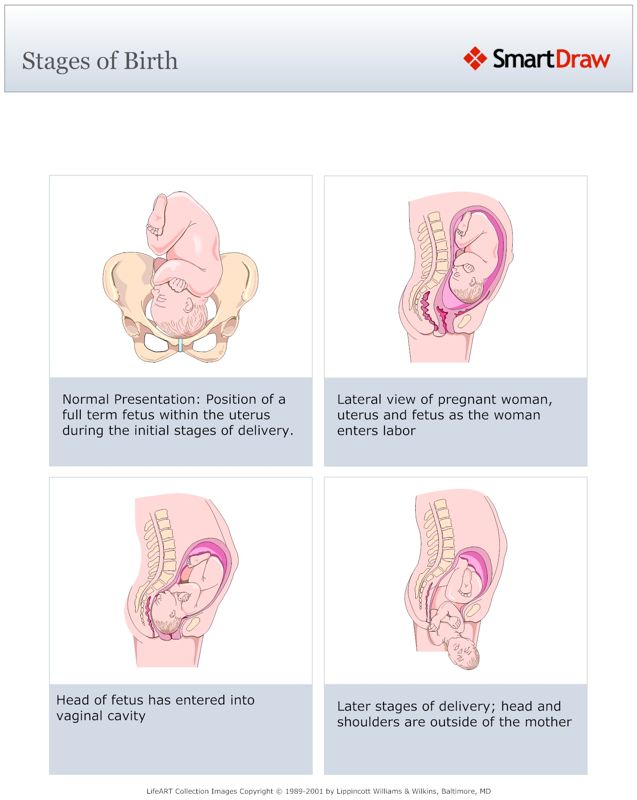 Stages_of_Birth