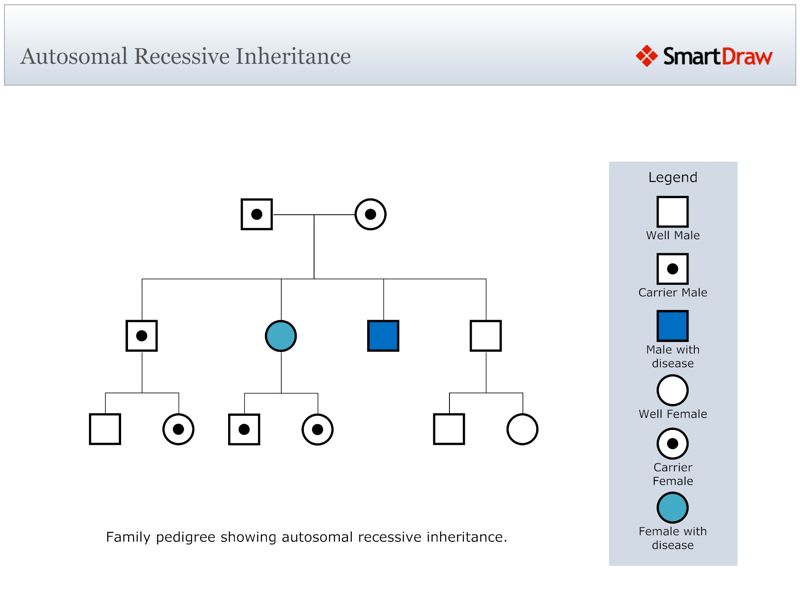 Autosomal_Recessive_Inheritance