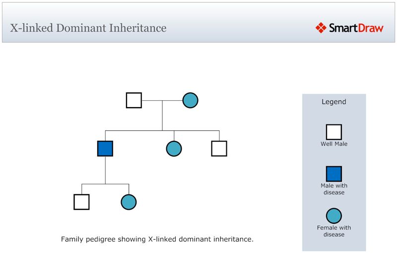 X-linked_Dominant_Inheritance