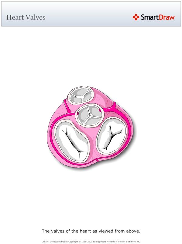 Heart_Valves