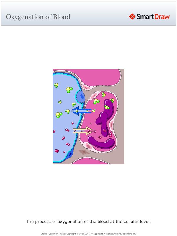 Oxygenation_of_Blood