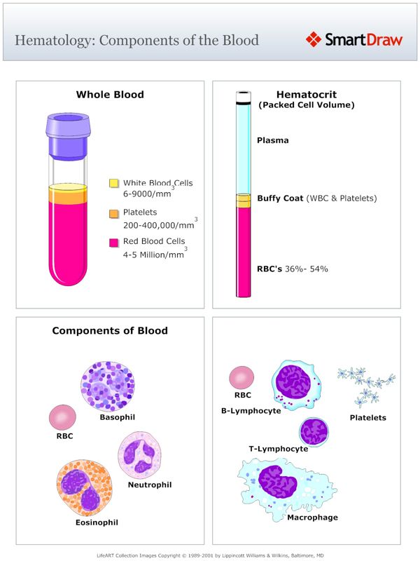 Hematology_Components_of_the_Blood