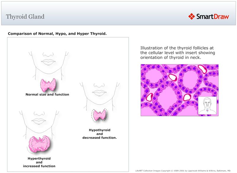 Thyroid_Gland