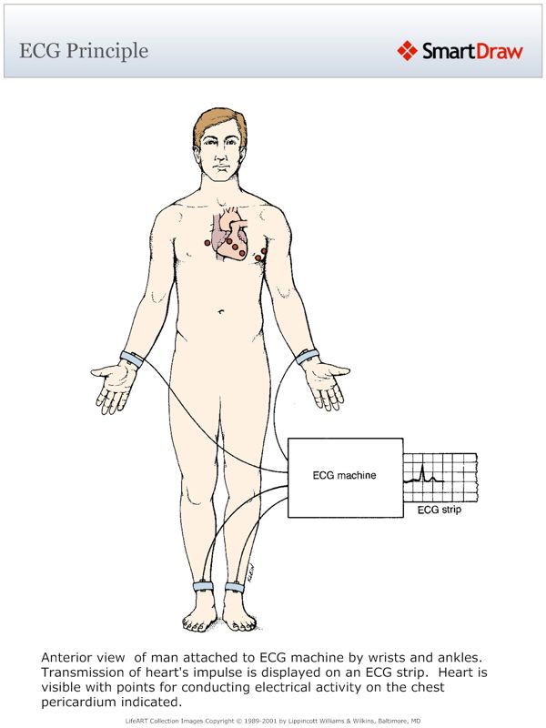 ECG_Principle