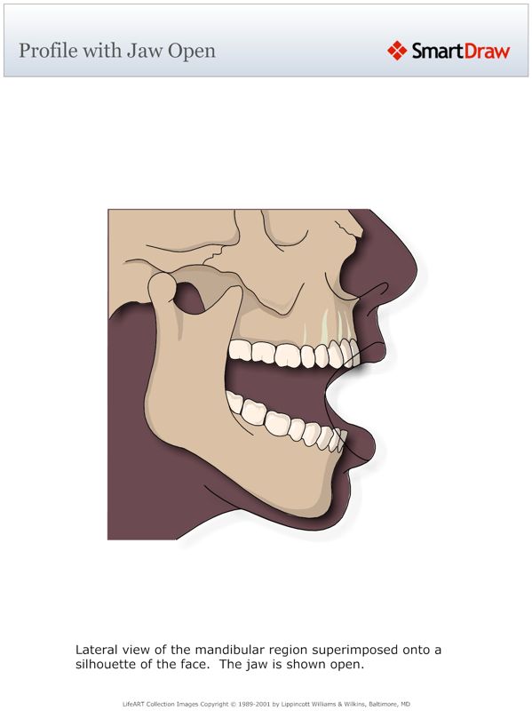 Profile_with_Jaw_Open