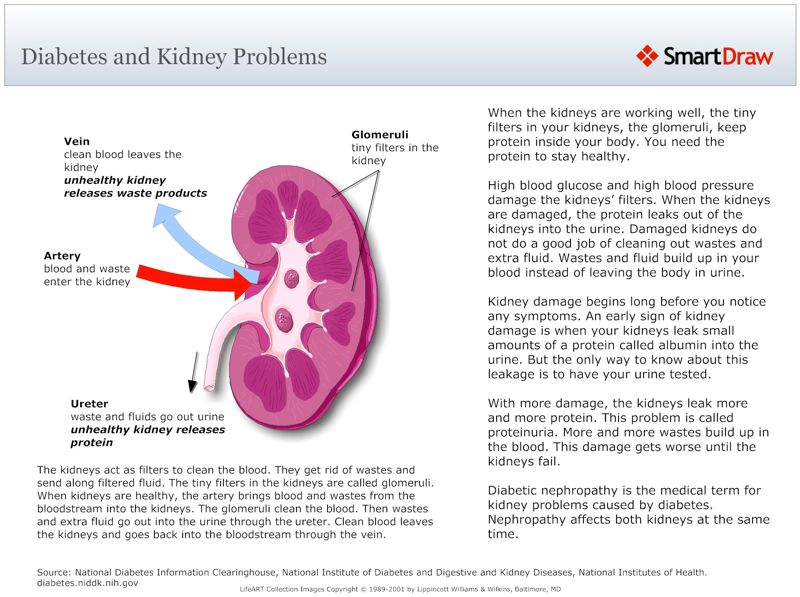 Diabetes and Kidney Problems
