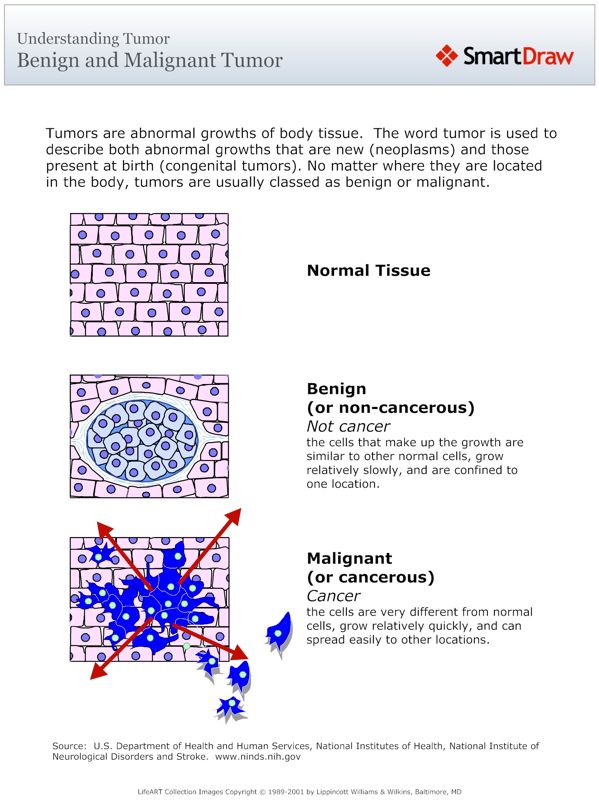 Benign_and_Malignant_Tumor