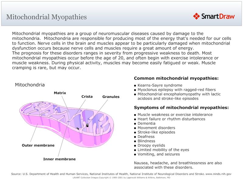 Mitochondrial_Myopathies