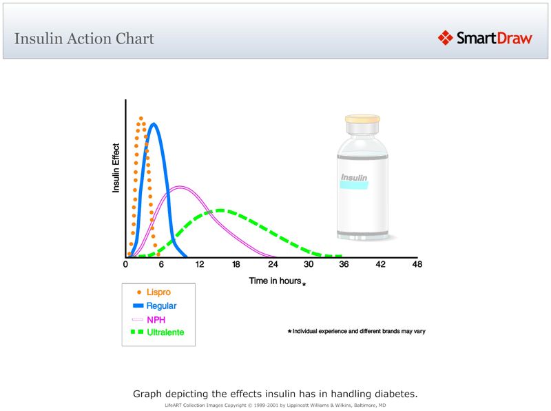 Insulin_Action_Chart