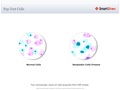 Pap_Test_Cells