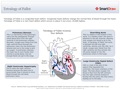 Tetralogy_of_Fallot