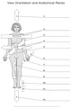 View_Orientation_and_Anatomical_Planes