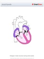 Atrial_Systole