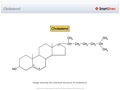 Cholesterol