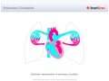 Pulmonary_Circulation
