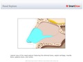 Nasal_Septum