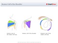 Rotator_Cuff_of_the_Shoulder