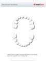 Deciduous_Dentition