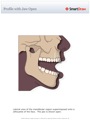 Profile_with_Jaw_Open