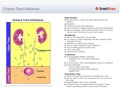 Urinary_Tract_Infections2