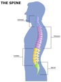 THE_SPINE