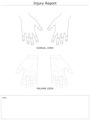 Injury_Report_Hand