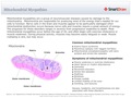 Mitochondrial_Myopathies