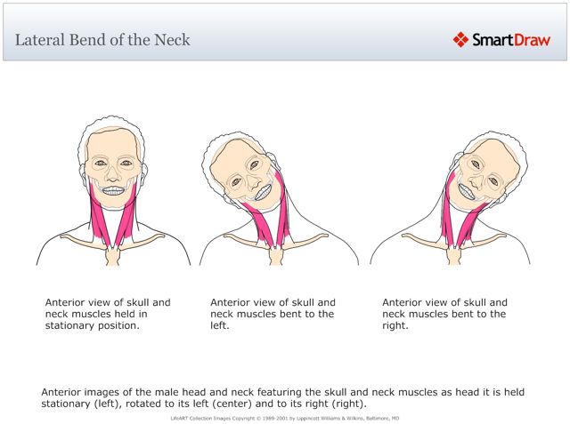 Lateral_Bend_of_the_Neck
