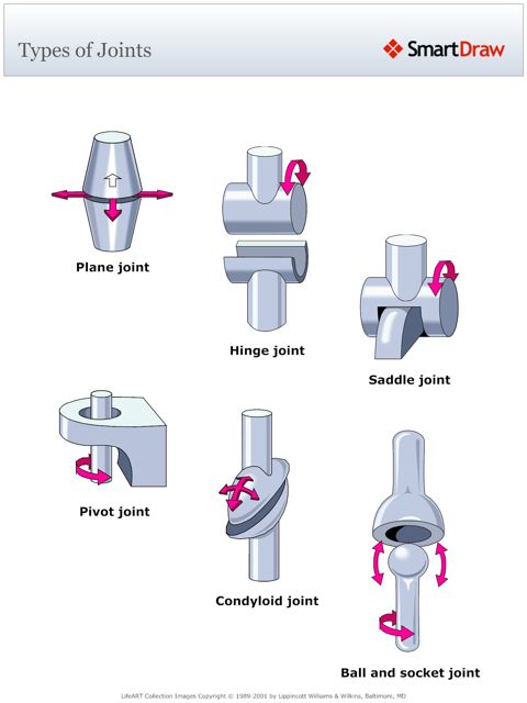 Types_of_Joints