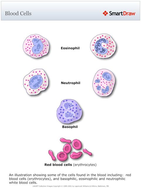 Blood_Cells