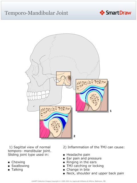 Temporo_Mandibular_Joint