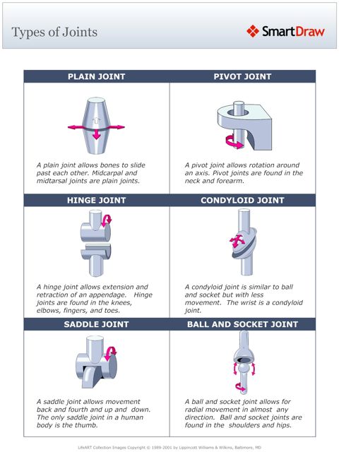 Types_of_Joints