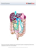 Portal_System