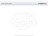 Folds_of_the_Brain