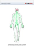 Nervous_System