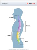 The_Spine