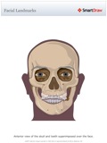 Facial_Landmarks