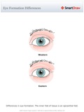 Eye_Formation_Differences