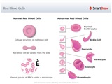 Red_Blood_Cells