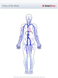 Veins_of_the_Body