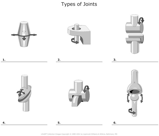 Types_of_Joints
